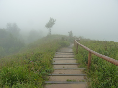 escaliers dans la nature